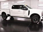 2025 F-250 Super Duty Thumbnail 8