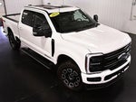 2025 F-250 Super Duty Thumbnail 14