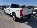 2025 F-250 Super Duty Thumbnail 4