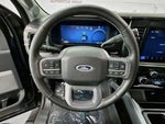 2025 F-250 Super Duty Thumbnail 10