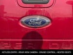 2015 F-250 Super Duty Thumbnail 12