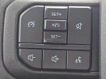 2025 F-250 Super Duty Thumbnail 35