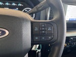 2025 F-250 Super Duty Thumbnail 16