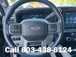 2024 F-250 Super Duty Thumbnail 18