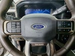 2024 F-250 Super Duty Thumbnail 14