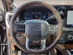 2024 F-250 Super Duty Thumbnail 14