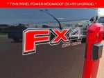 2025 F-250 Super Duty Thumbnail 32