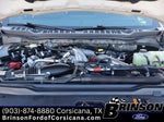 2025 F-250 Super Duty Thumbnail 12