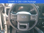 2025 F-250 Super Duty Thumbnail 17