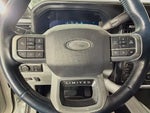 2024 F-250 Super Duty Thumbnail 14