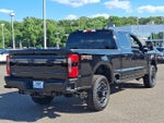 2025 F-250 Super Duty Thumbnail 6