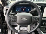 2025 F-250 Super Duty Thumbnail 21