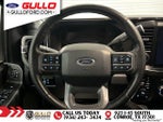 2024 F-250 Super Duty Thumbnail 12