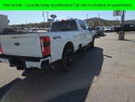 2024 F-250 Super Duty Thumbnail 6