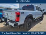 2024 F-250 Super Duty Thumbnail 8