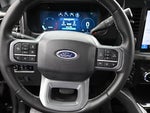 2025 F-250 Super Duty Thumbnail 9