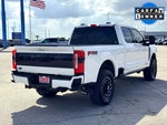 2025 F-250 Super Duty Thumbnail 7