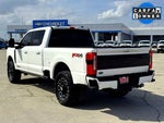 2025 F-250 Super Duty Thumbnail 9