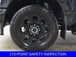 2025 F-250 Super Duty Thumbnail 11