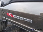 2025 F-250 Super Duty Thumbnail 12