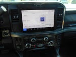2025 F-250 Super Duty Thumbnail 10