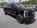 2025 F-250 Super Duty Thumbnail 3