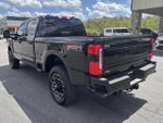2025 F-250 Super Duty Thumbnail 7