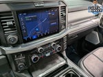 2025 F-250 Super Duty Thumbnail 11