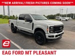 2025 F-250 Super Duty Thumbnail 1