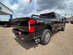 2024 F-250 Super Duty Thumbnail 6
