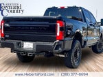 2025 F-250 Super Duty Thumbnail 11