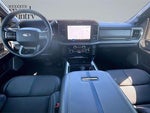 2025 F-250 Super Duty Thumbnail 14