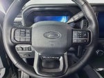 2025 F-250 Super Duty Thumbnail 29