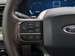 2025 F-250 Super Duty Thumbnail 51