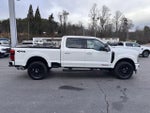 2025 F-250 Super Duty Thumbnail 5