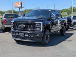 2025 F-250 Super Duty Thumbnail 8