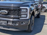 2025 F-250 Super Duty Thumbnail 10