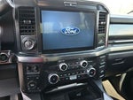 2025 F-250 Super Duty Thumbnail 13