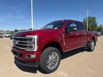 2025 F-250 Super Duty Thumbnail 10