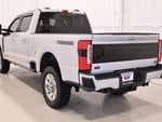 2025 F-250 Super Duty Thumbnail 8