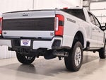 2025 F-250 Super Duty Thumbnail 10