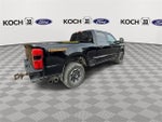 2023 F-250 Super Duty Thumbnail 9