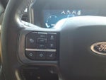 2024 F-250 Super Duty Thumbnail 18