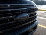 2025 F-250 Super Duty Thumbnail 9