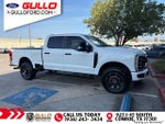 2025 F-250 Super Duty Thumbnail 2