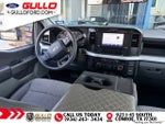 2025 F-250 Super Duty Thumbnail 4