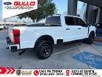 2025 F-250 Super Duty Thumbnail 6