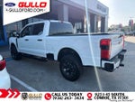 2025 F-250 Super Duty Thumbnail 7