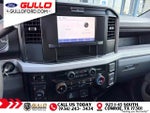 2025 F-250 Super Duty Thumbnail 11