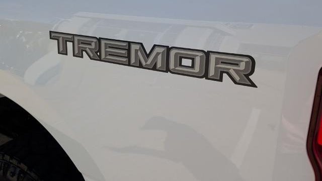 2025 Ford F-250 Super Duty Platinum